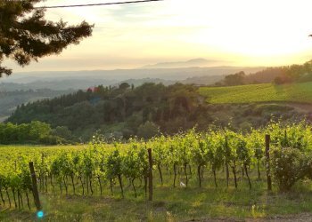 Vista delle montagne - Villa Montespertoli - foto 3