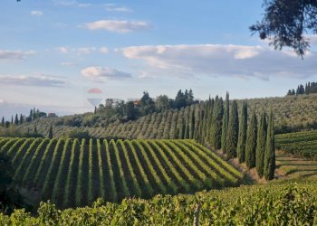 Vista delle montagne - Villa Montespertoli - foto 19