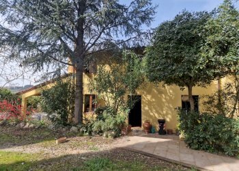 Giardino - Villa Montespertoli - photo 4