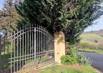 Giardino - Villa Montespertoli - photo 43