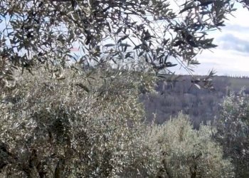 Non correlato - Casa indipendente VIA MONTALBINO
 
10, Montespertoli - foto 39