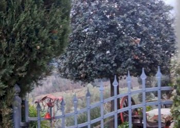 Casa all\'aperto - Casa indipendente VIA MONTALBINO
 
10, Montespertoli - foto 43