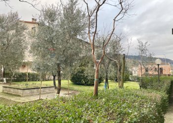 giardino condominiale - Appartamento via armando cecchini
 
33, Dicomano - foto 32