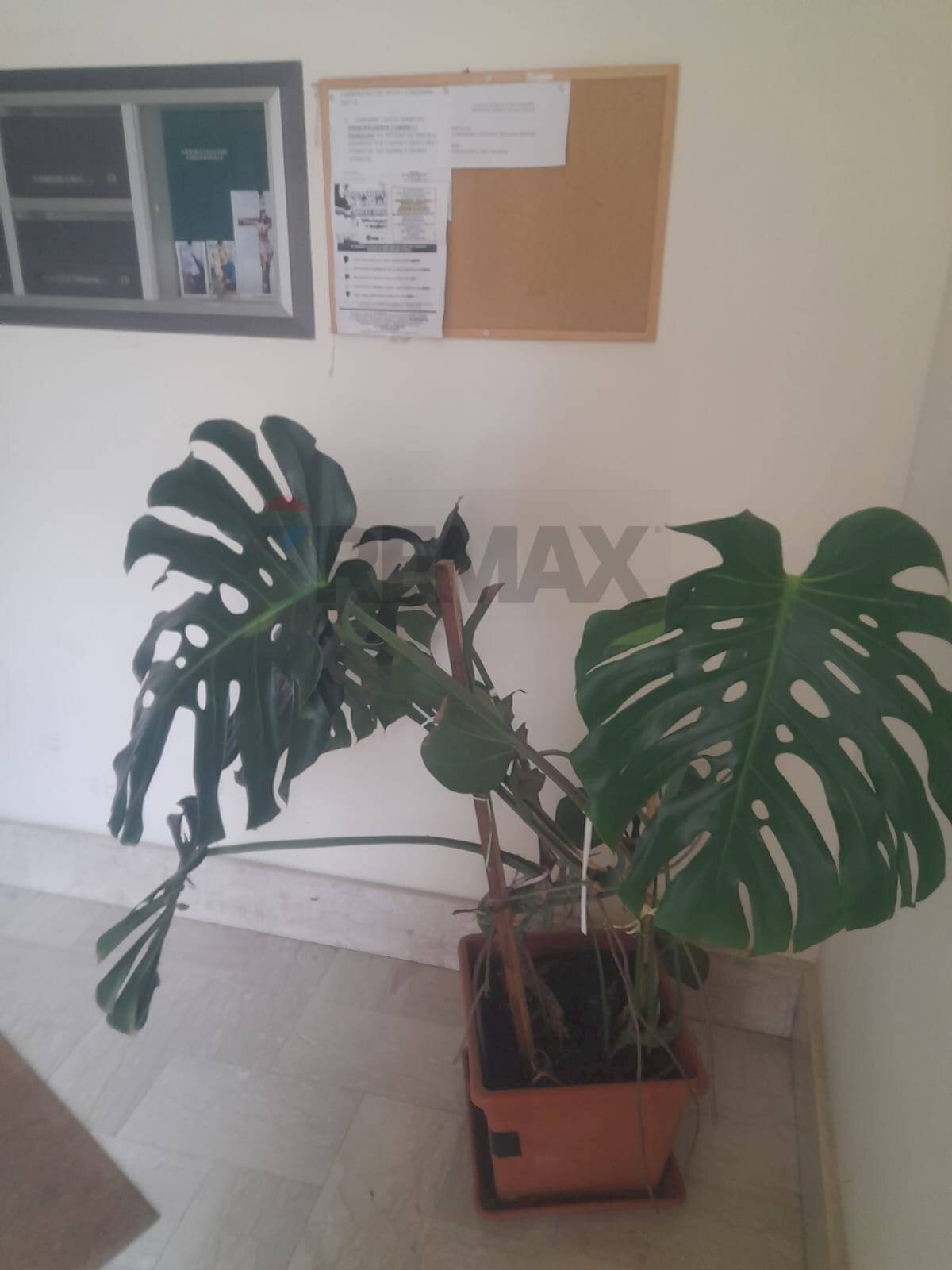 Dettagli - Appartamento Via Piave
 
89, San Cataldo - foto 3