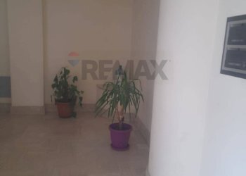 Ricezione / Lobby - Appartamento Via Piave
 
89, San Cataldo - foto 4