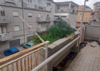 Balcone - Appartamento Via Piave
 
89, San Cataldo - foto 17