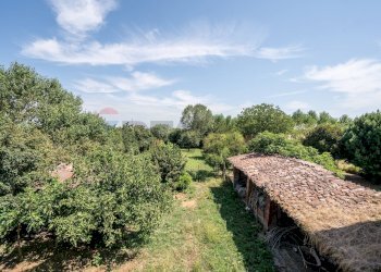 Giardino - Casa semi indipendente Commessaggio - foto 48