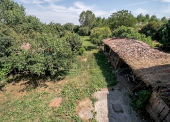 Giardino - Casa semi indipendente Commessaggio - foto 49
