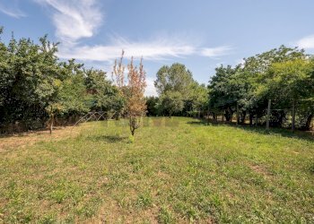 Giardino - Casa semi indipendente Commessaggio - foto 53