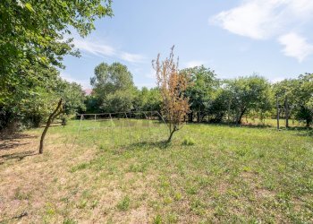 Giardino - Casa semi indipendente Commessaggio - foto 55