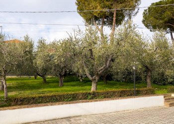 Giardino - Casa semi indipendente Ripa Teatina - foto 10