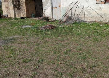 Giardino - Casa semi indipendente via Anello
 
62, Guardiagrele - foto 18