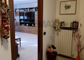 Hall / corridoio - Trilocale via dei fiori
 
6, Cerro al Lambro - foto 8