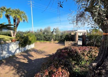 Giardino - Appartamento Contrada Coppitella
 
34, Vieste - foto 42