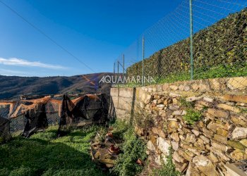 Foto 18 - Villa Pietrabruna - foto 18