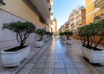 Edificio all\'aperto - Trilocale Via Bellegra
 
35, Roma - foto 3