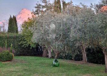 Foto 55 - Rustic vocabolo giorgi
 
35, Castiglione del Lago - photo 55