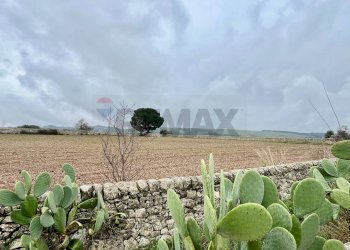 Giardino - Rustico Contrada San Filippo
 
snc, Ragusa - foto 5