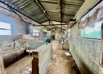 Non correlato - Rustico Contrada San Filippo
 
snc, Ragusa - foto 9