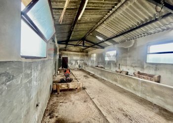 Non correlato - Rustico Contrada San Filippo
 
snc, Ragusa - foto 10