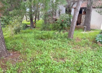 Giardino - Villa Via Autonomia Siciliana, Terrasini - foto 8