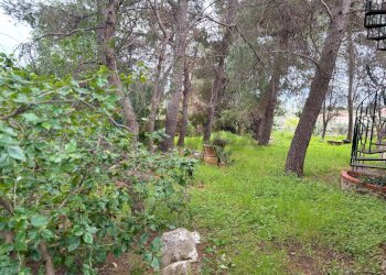 Giardino - Villa Via Autonomia Siciliana, Terrasini - foto 9