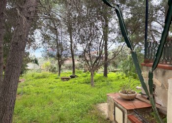 Giardino - Villa Via Autonomia Siciliana, Terrasini - foto 11