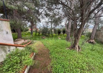 Giardino - Villa Via Autonomia Siciliana, Terrasini - foto 13