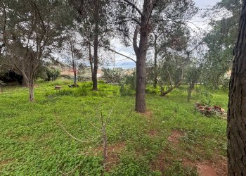 Giardino - Villa Via Autonomia Siciliana, Terrasini - foto 14