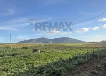 Vista delle montagne - Terreno agricolo Fulgatore, Trapani - foto 1