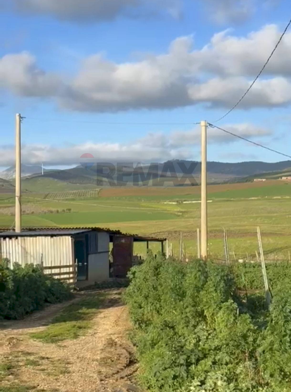 Vista delle montagne - Terreno agricolo Fulgatore, Trapani - foto 3