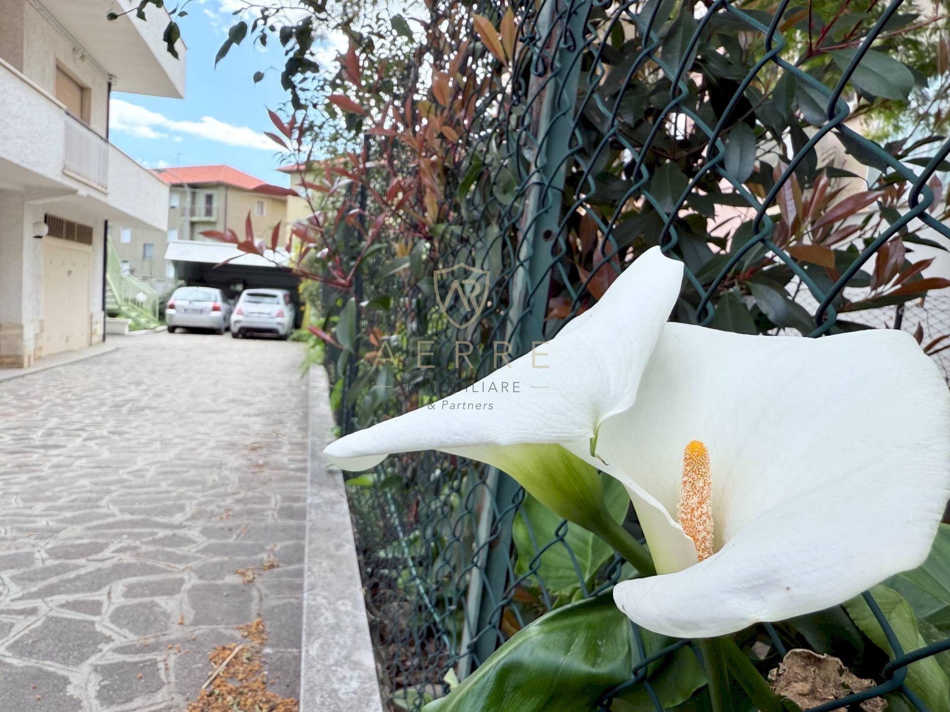 Foto 2 - Independent house Via Dante Alighieri
 
94, Cepagatti - photo 2