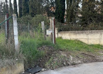 Foto 6 - Terreno edificabile via Pò, Cepagatti - foto 6