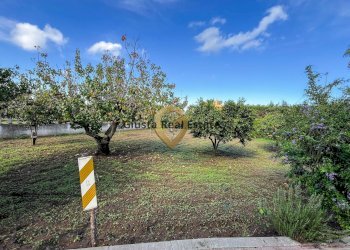 Foto 8 - Villa Via Papa Giovanni
 
XXIII, San Pietro Vernotico - foto 8