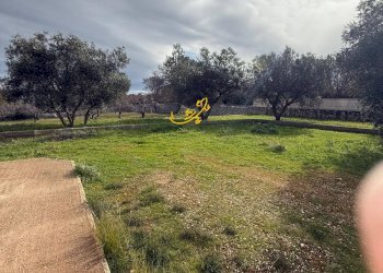 Foto 13 - Villa Strada Contrada Romanelli, Monopoli - foto 13