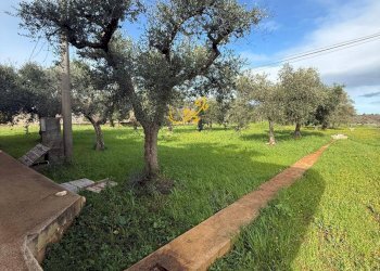 Foto 15 - Villa Strada Contrada Romanelli, Monopoli - foto 15