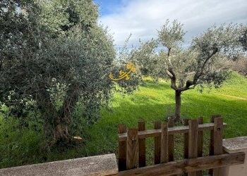 Foto 17 - Villa Strada Contrada Romanelli, Monopoli - foto 17