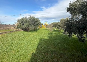 Foto 19 - Villa Strada Contrada Romanelli, Monopoli - foto 19