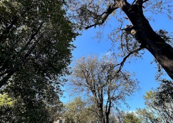 Foto 34 - Appartamento Via Gorgona
 
2, Genova - foto 34