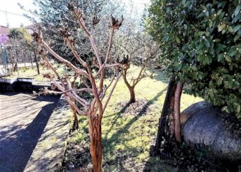 Terreno - Villa via Leonardo da Vinci, Borgo Ticino - foto 44