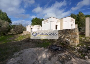 Foto 13 - Villa Palmariggi - foto 13