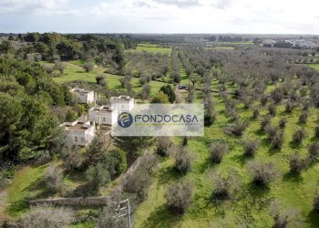 Foto 27 - Villa Palmariggi - foto 27