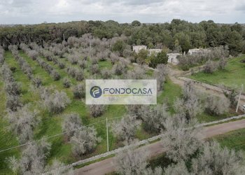 Foto 29 - Villa Palmariggi - foto 29