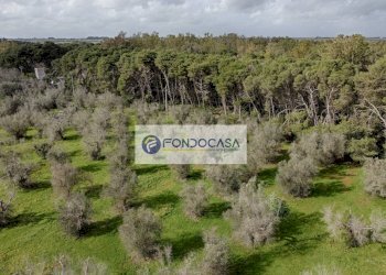 Foto 31 - Villa Palmariggi - foto 31