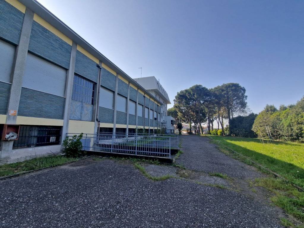 Facciata - Capannone viale Cinque Giornate, Caronno Pertusella - foto 3