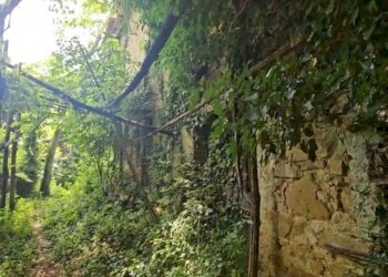 Vista - Rustico Ville, Castel Sant'Angelo - foto 1