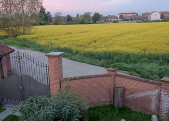 photo-2026-02-03-15-46-51 - Quadrilocale borgata Tetti Piatti, 41, Moncalieri - foto 2