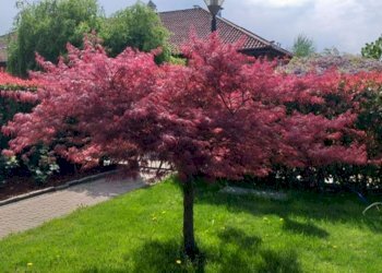 photo-2026-02-03-15-47-27 - Quadrilocale borgata Tetti Piatti, 41, Moncalieri - foto 11