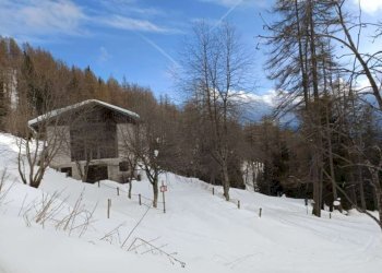 788dd6e4-7d0c-41d8-acf8-1db6abe1f2a2 - Casa indipendente Località Prese, 1, Roncegno Terme - foto 23