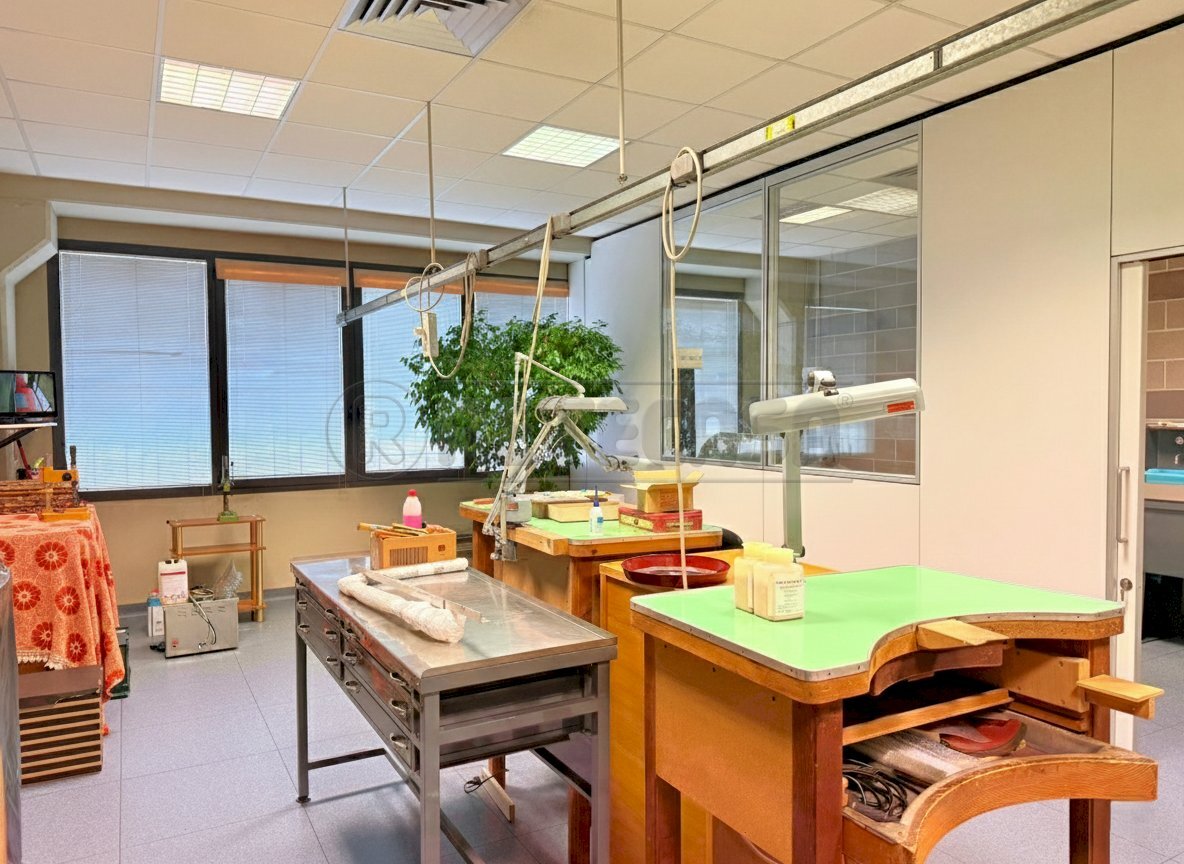 Gemini_Generated_Image_32x6832x6832x683.png - Laboratory Camisano Vicentino - photo 1